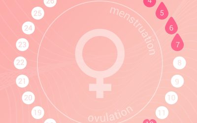 Understand Your Menstrual Cycle Course